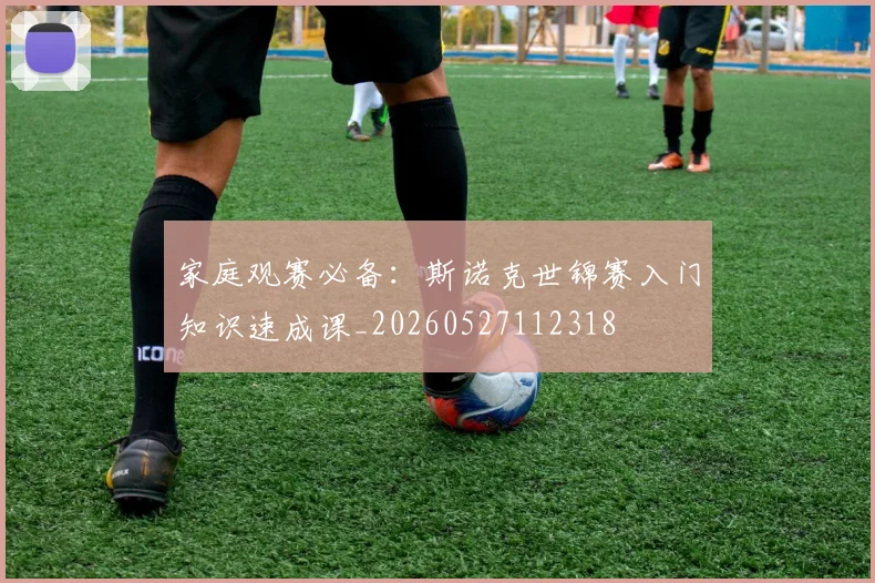 家庭观赛必备：斯诺克世锦赛入门知识速成课_20260527112318