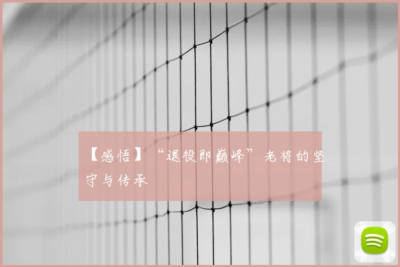 【感悟】“退役即巅峰”老将的坚守与传承