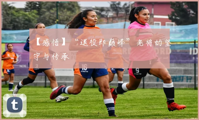【感悟】“退役即巅峰”老将的坚守与传承
